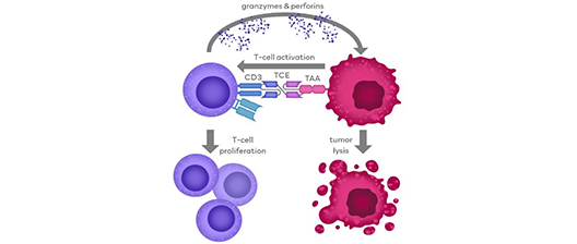瀚枢生物 | TCE药物体外免疫活性评价平台，驱动药物高效研发
