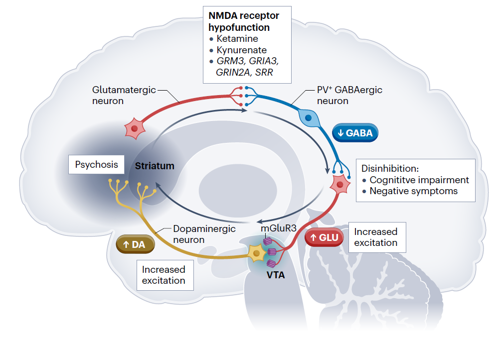 New Drug Development for Schizophrenia Suffers Setbacks One After Another: Where Lies the Breakthrough Path?(图2)